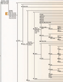 Y-Chromosome Phylogenetic Tree (2008) poster published by FamilyTreeDNA