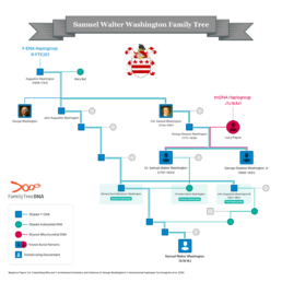 Samuel Walter Wahsington's family tree, limited to ancestors relevant to the relationships discussed in the new study about the genetic analysis of George Washington's family