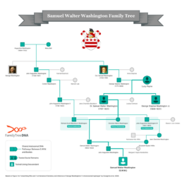 Samuel Walter Washington's family tree showing the autosomal inheritance and pedigree collapse in the Washington family line