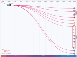 The Irish mtDNA haplogroup cluster (F654503) closley matches Lucy Payne and her two Washington sons on the preliminary Mito Tree