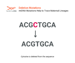 Deletion Mutations - mtDNA Mutations Help to Trace Maternal Lineages