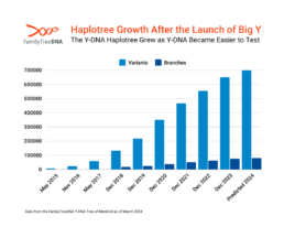 A chart showing the haplotree growth after the launch of Big Y