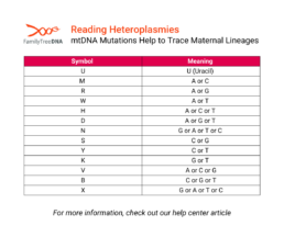 Reading Heteroplasmies - mtDNA Mutations Help to Trace Maternal Lineages