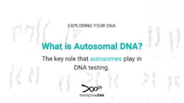What is Autosomal DNA? The key role that autosomes play in DNA testing.