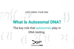 What is Autosomal DNA? The key role that autosomes play in DNA testing.