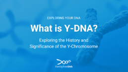 What is Y-DNA Exploring the History and Significance of the Y-Chromosome - FamilyTreeDNA Blog