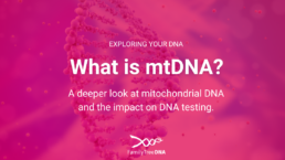 What is mtDNA? A deeper look at mitochondrial DNA and the impact on DNA testing