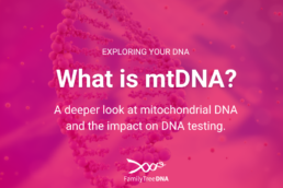 What is mtDNA? A deeper look at mitochondrial DNA and the impact on DNA testing
