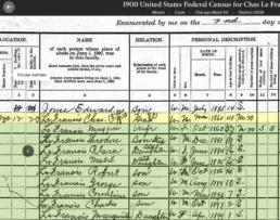 1900 census record for Mabel La Francis - Granddaughter Finds Her Roots with mtDNA and Historical Records