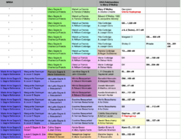 Colorized Relationship Chart showing test-takers, amoutn of DNA shared, and their lines of descent. - Granddaughter Finds Her Roots with mtDNA and Historical Records