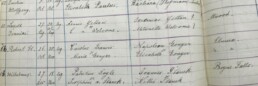 Robert's baptismal record from St. Thomas Xavier Catholic Church - Granddaughter Finds Her Roots with mtDNA and Historical Records