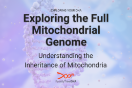 Exploring the Full Mitochondrial Genome