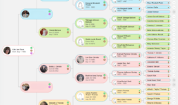 Color-coded pedigree view on MyHeritage