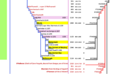 Genealogy of the Uí Briúin Aí
