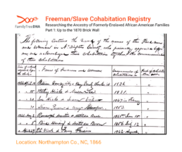 Freeman/Slave Cohabitation Registry
