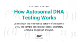 How Autosomal DNA Testing Works-Feature Image