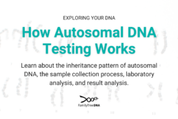 How Autosomal DNA Testing Works-Feature Image