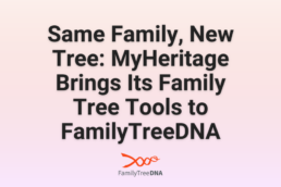 Same family, new tree: myheritage brings its family tree tools to familytreedna
