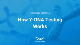 How Y-DNA Testing Works - Featured Image
