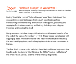 colored troops in world war 1
