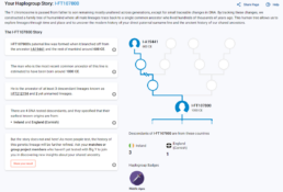 discover haplogroup story report screenshot
