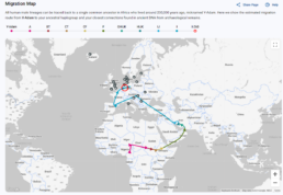discover migration map report screenshot