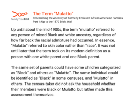 the term mulatto