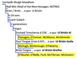three major branches of the Uí Briúin dynasty