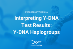 Interpreting Y-DNA Test Results: Y-DNA Haplogroups - Featured Image