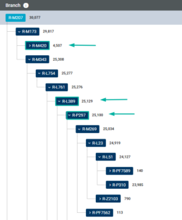 upstream and downstream branches screenshot