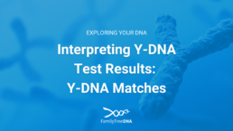 Interpreting Y-DNA Test Results: Y-DNA Matches Featured Image
