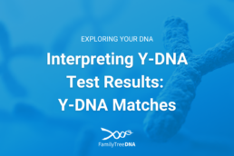 Interpreting Y-DNA Test Results: Y-DNA Matches Featured Image