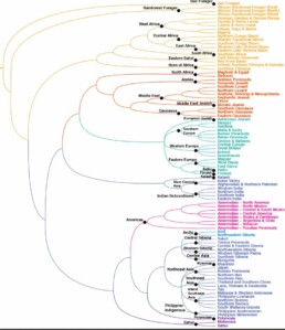 Various reference populations descending from parent populations