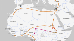 Migration map of Haplogroup E from the FamilyTreeDNA Discover report, depicting the migration paths and spread of this African haplogroup through ancient populations.