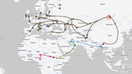 Migration map of Haplogroup R from the FamilyTreeDNA Discover report, illustrating the ancestral migration routes and spread of this haplogroup across regions, representing the largest lineage in the Y-DNA Tree of Humankind.