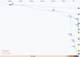 Time Tree showing the A1b1-M28 to V1797 haplogroup split, representing early developments in the Arab world circa 29,000 BCE. This Y-DNA haplotree split highlights genetic lineage evolution during the Paleolithic period.