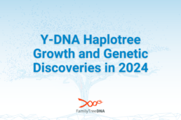 Y-DNA Haplotree Growth and Genetic Discoveries in 2024 - FamilyTreeDNA Blog