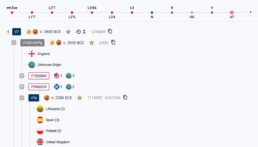 Screenshot of the Classic Tree from mtDNA Discover, displaying a phylogenetic haplogroup structure. The tree traces haplogroups from mt-Eve through various branches, including V7 and V7a, with estimated formation dates. Geographic origins such as England, Lithuania, Spain, Poland, and the United Kingdom are represented with flag icons. The tree also displays mtFull Sequence testers, marked with unique IDs and associated test results. Users can expand branches to explore deeper lineage connections.