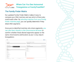 A FamilyTreeDNA tutorial on using the Family Finder Matrix to compare DNA matches, confirm shared segments, and verify genetic relationships.