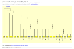 PhyloTree Build 17 diagram showing the mtDNA haplogroup structure as of February 2016. The chart illustrates the branching of maternal lineages, including major haplogroups like L, M, and N, which trace deep human ancestry.
