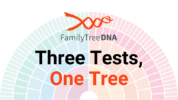 FamilyTreeDNA Three Tests, One Tree webinar promotional graphic. The image features the FamilyTreeDNA logo above bold text that reads 'Three Tests, One Tree,' with a colorful circular pedigree chart in the background, representing autosomal DNA, Y-DNA, and mtDNA integration.