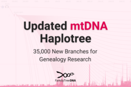 Graphic displaying 'Updated mtDNA Haplotree – 35,000 New Branches for Genealogy Research' with a background visualization of the expanded maternal lineage tree. This update enhances genetic genealogy research by refining mtDNA haplogroup classifications.
