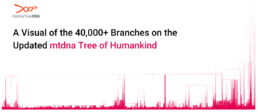 A detailed visualization of the expanded mtDNA Tree of Humankind, now with over 40,000 branches. This update, built from half a million mtDNA test results, provides deeper insights into maternal ancestry and human evolution.
