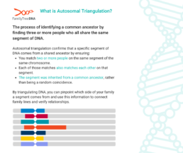 A FamilyTreeDNA infographic explaining autosomal triangulation, detailing how three or more people who share the same DNA segment can confirm a common ancestor.