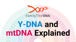 FamilyTreeDNA Y-DNA and mtDNA Explained promotional graphic. The image features the FamilyTreeDNA logo above bold text that reads 'Y-DNA and mtDNA Explained,' with a colorful circular pedigree chart in the background representing paternal and maternal lineage tracing.