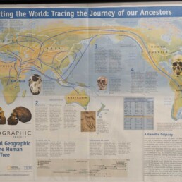 Framed interior spread from the March 2006 National Geographic magazine showing a world migration map from the Genographic Project. Displayed in the front foyer of the Gene by Gene lab, where FamilyTreeDNA samples are processed.
