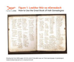 A handwritten page spread from the Great Book of Irish Genealogies (GBIG), showing names laid out in neat columns. This typical format displays genealogical lineages in a structured, columnar style as described by Ó Muraíle. Useful for Irish surname research and Y-DNA correlation.