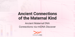 Ancient Maternal DNA Connections via mtDNA Discover