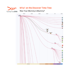 mtDNA Discover Time Tree view of haplogroup M1a1, highlighting its ancient presence in Egypt and its modern descendants.