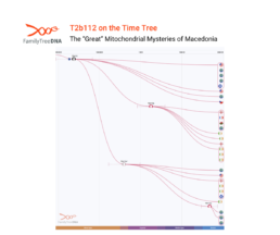 mtDNA Time Tree view of haplogroup T2b112, one of the ancient lineages associated with royal Macedonian remains.
